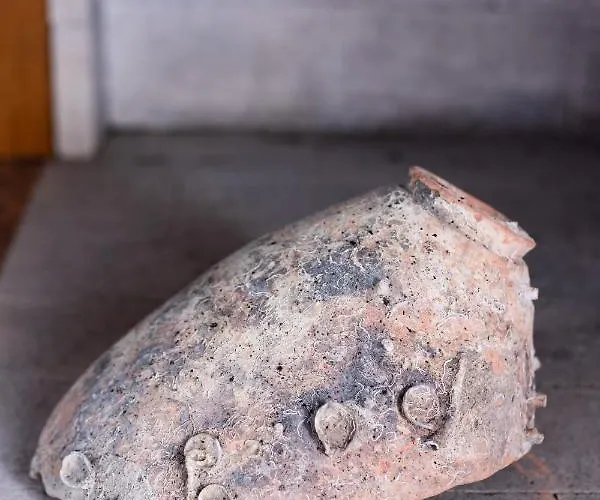 公寓 Locazione Turistica Da Placida *